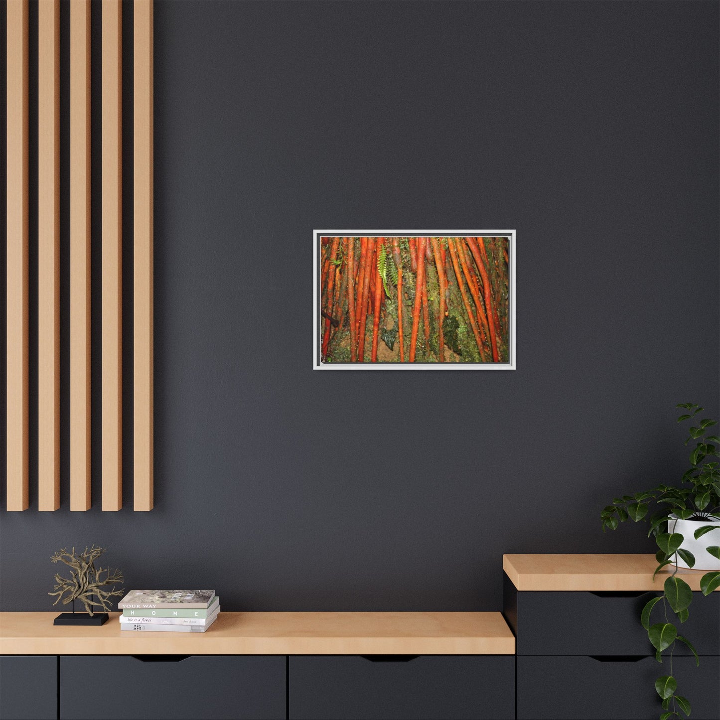 Framed Matte Canvas Wall Art — Tropical Rainforest Roots Photography -Orange roots of the Sierra Palm tree - Nikon
