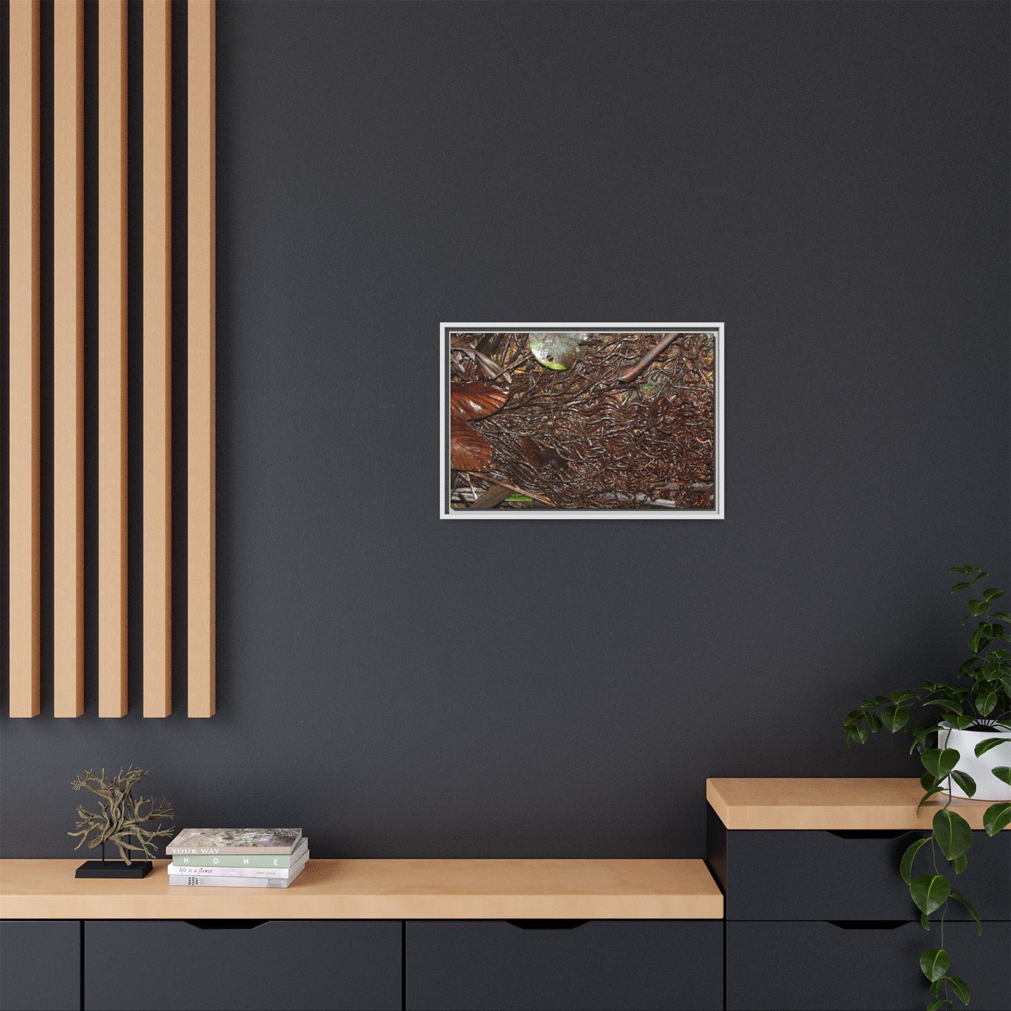 Framed Matte Canvas Wall Art — Tropical Rainforest Decomposing Sierra Palm Seeds Branch - Photography - Tradewinds
