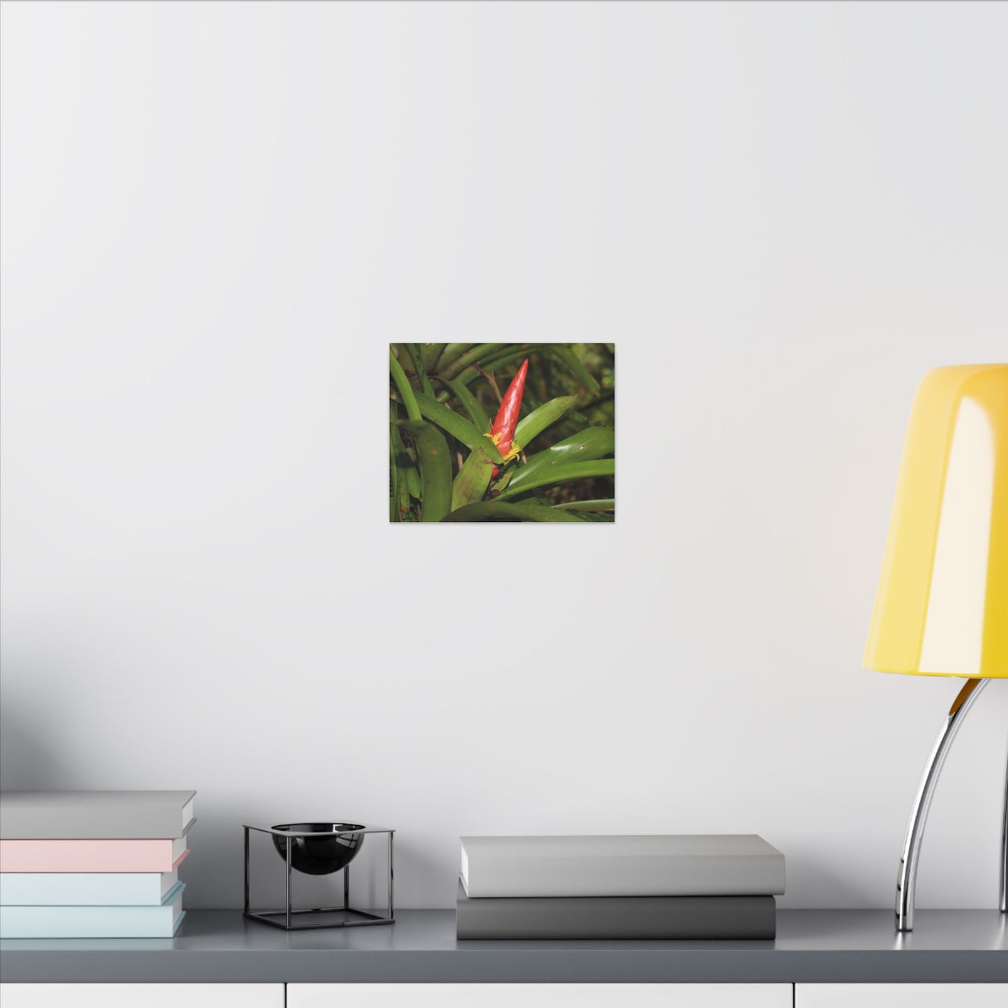 Red Tropical Bromeliad Canvas Wall Art — Matte Stretched Botanical Print