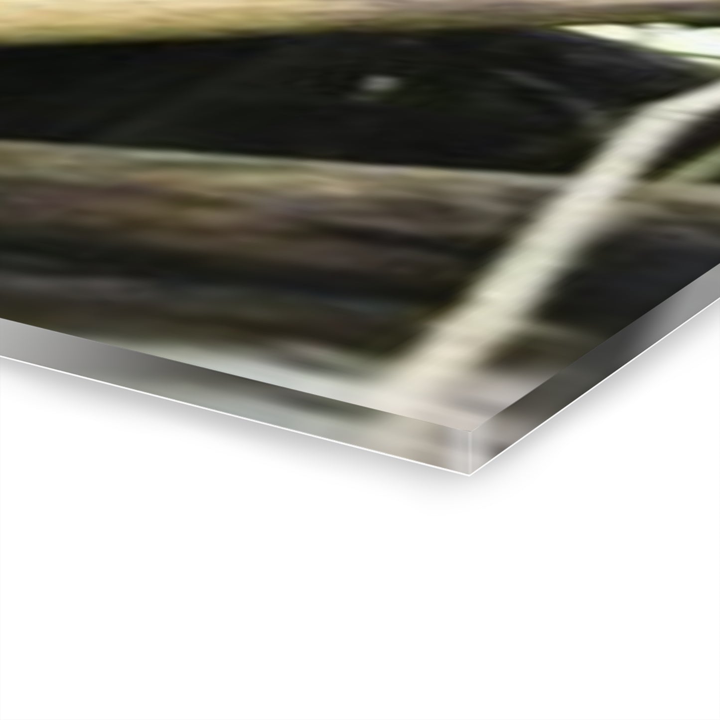 Mangled Bamboos, Rio Sabana Forest after Hurricane Maria in 2017 - Nikon D850 - Triptych Acrylic Print – Panoramic Jungle Wall Aert