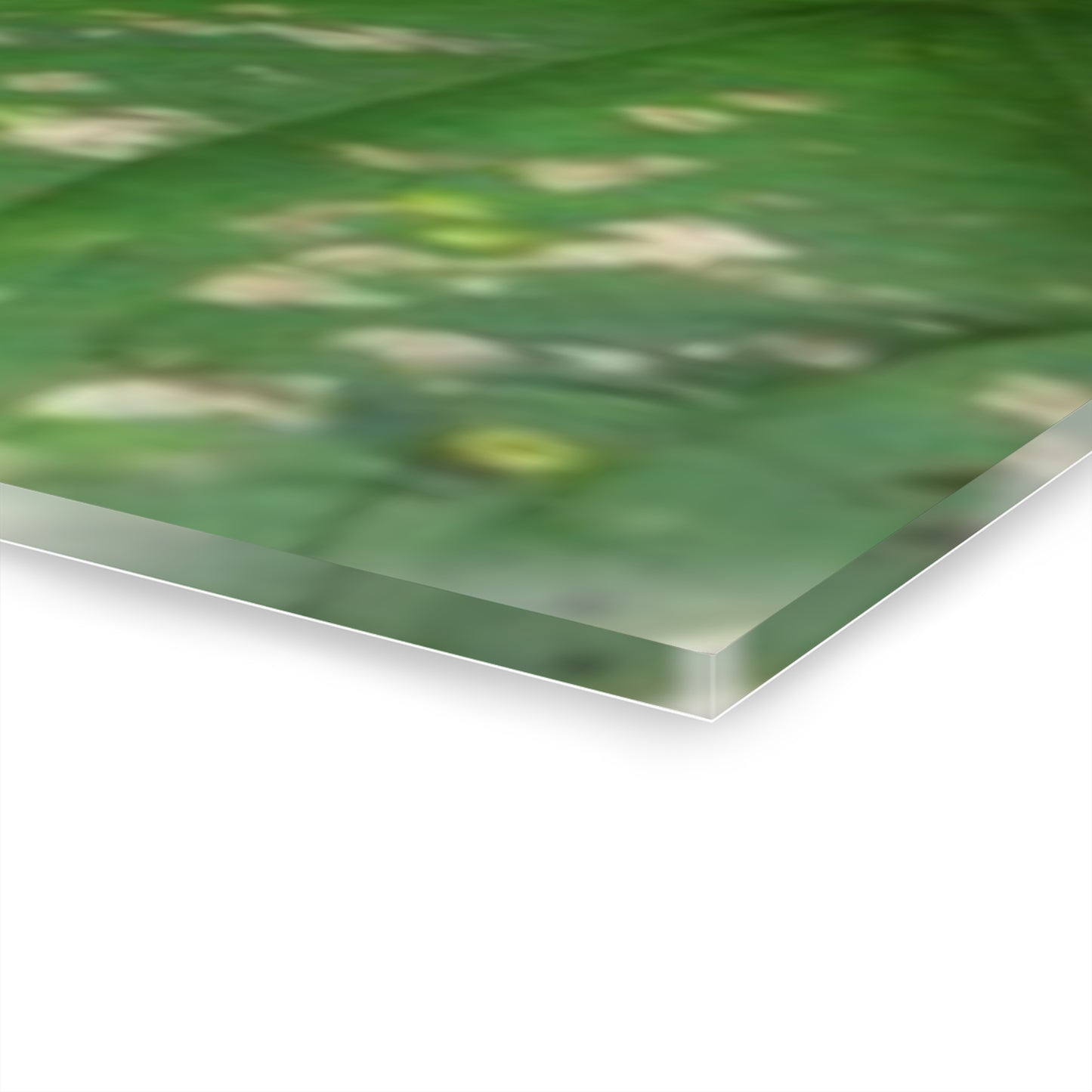 Deep Forest Explorations - Pristine Rio Sabana 2-Rivers Magical Pond - El Yunque RainForest - Nikon D850 - Tropical Rivers Triptych Acrylic Print – Panoramic Jungle Wall Aert