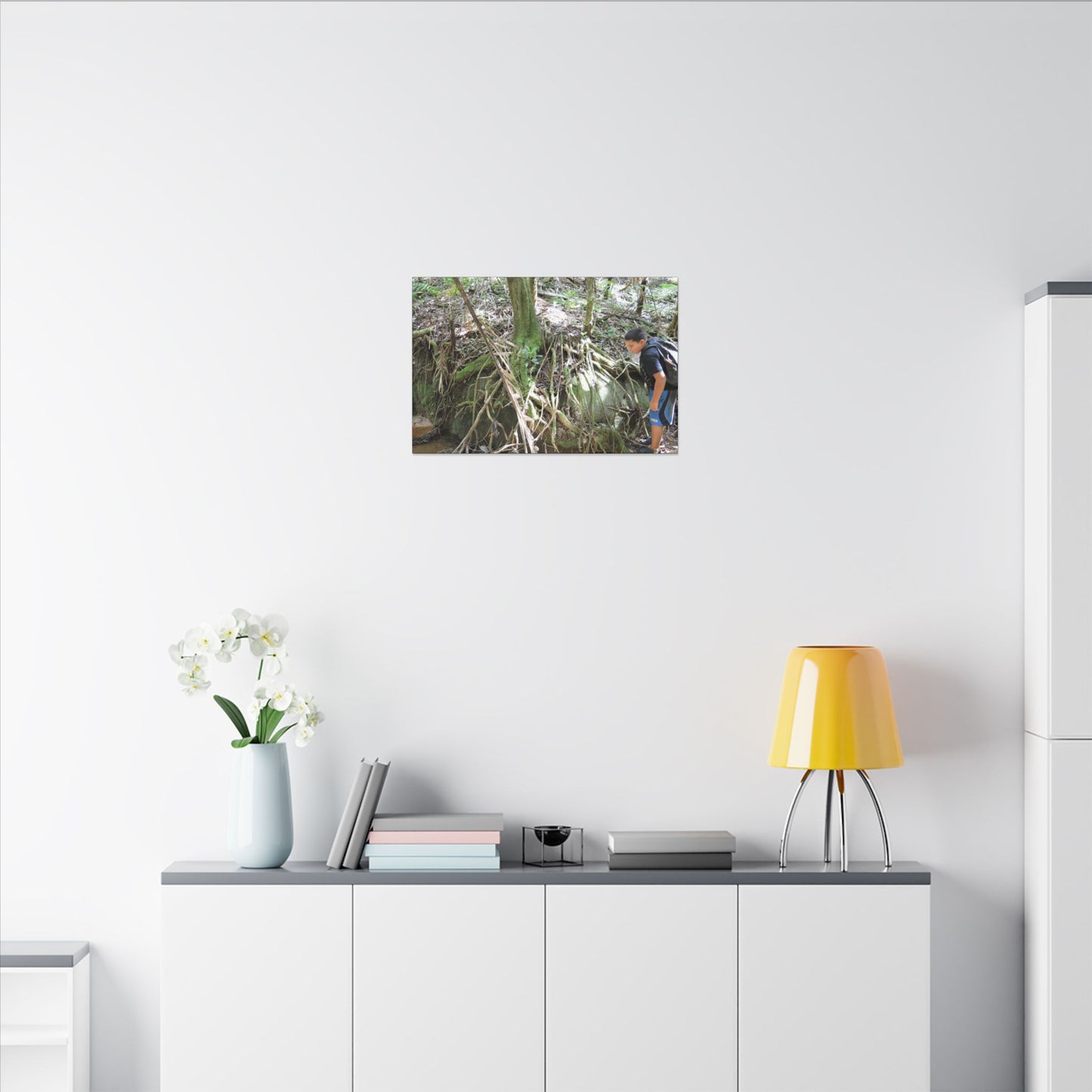 Forest Stream Adventure Matte Canvas Print — Boy Exploring Tree Roots Wall Art - Jose looks at the river - Tree has roots all over - Note the little sunlight