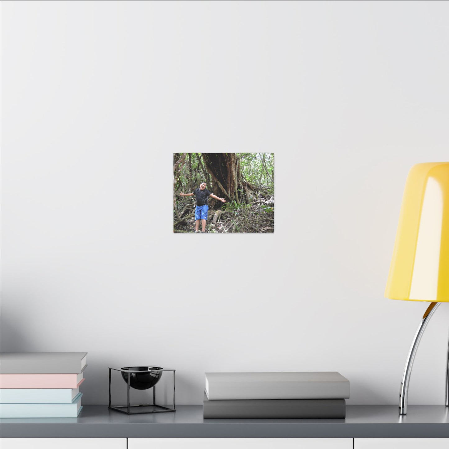 Matte Stretched Canvas Wall Art – Tropical Tree Photo Print - Explorer Jose in a deep forest week long in the birth of Espiritu Santo river - huge red tree behind