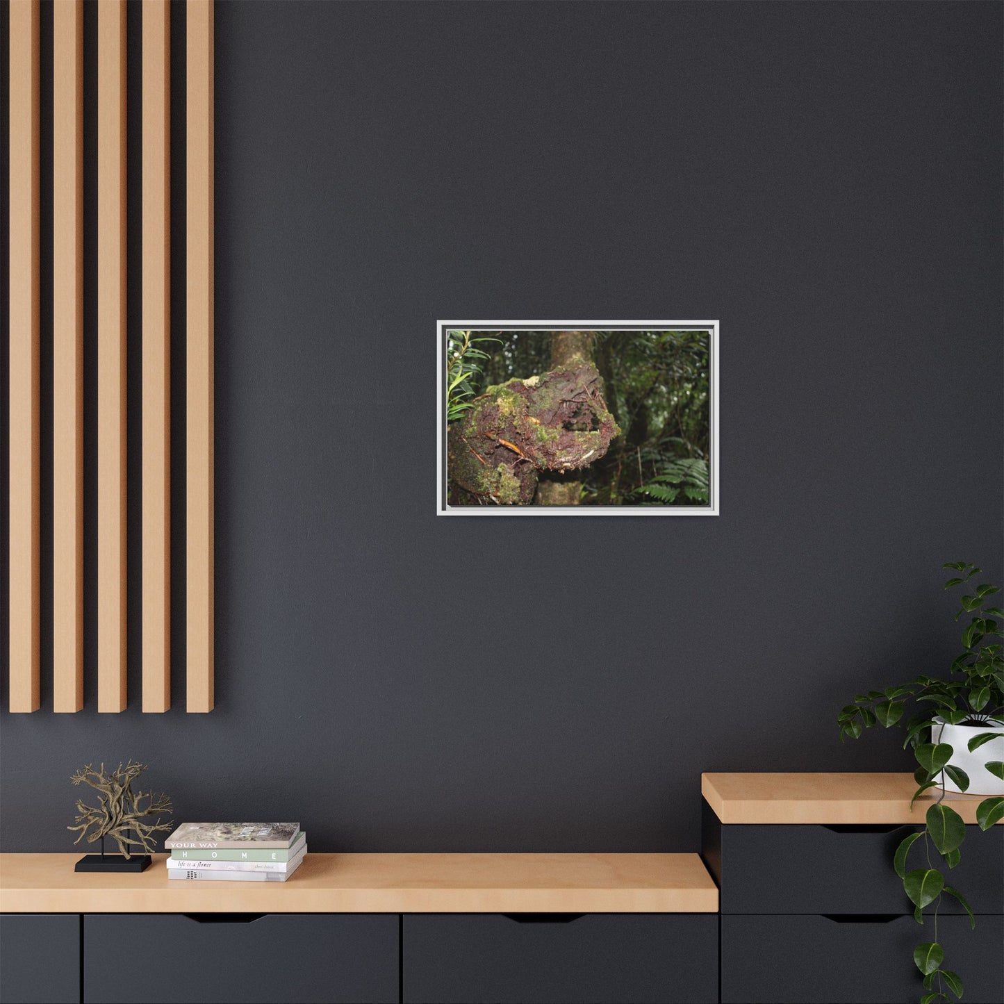 Framed Matte Canvas Wall Art — Tropical Rainforest Roots Photography - Not a nice image - a slowly decomposing red Tree (very hard wood) in Tradewinds trail