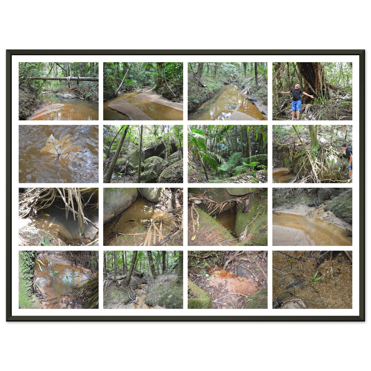 90e51052-2b90-4af4-a9d8-865d427854a6