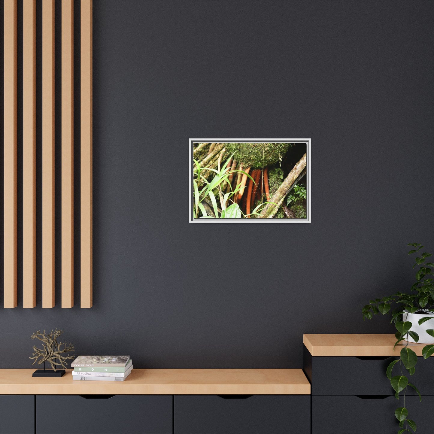 Framed Matte Canvas Wall Art — Tropical Rainforest Roots Photography - The strong orange roots of the Sierra Palm - that can survive hurricanes