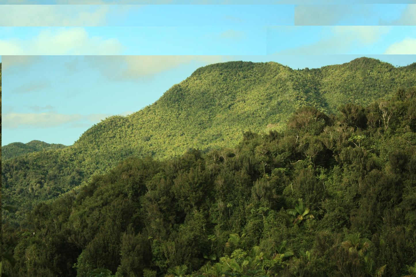Landscape Photo Block – Desktop Decorative Photo Display - 7'' × 5'' (Horizontal) - Awesome view from Los Picachos in El Yunque Rainforest - Nikon Image