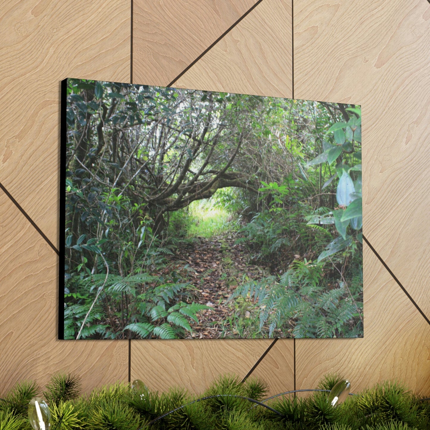 Canvas Gallery Wraps - The Tradewinds trail before Hurricane Maria - 2013 - old pal region - Green Forest Home