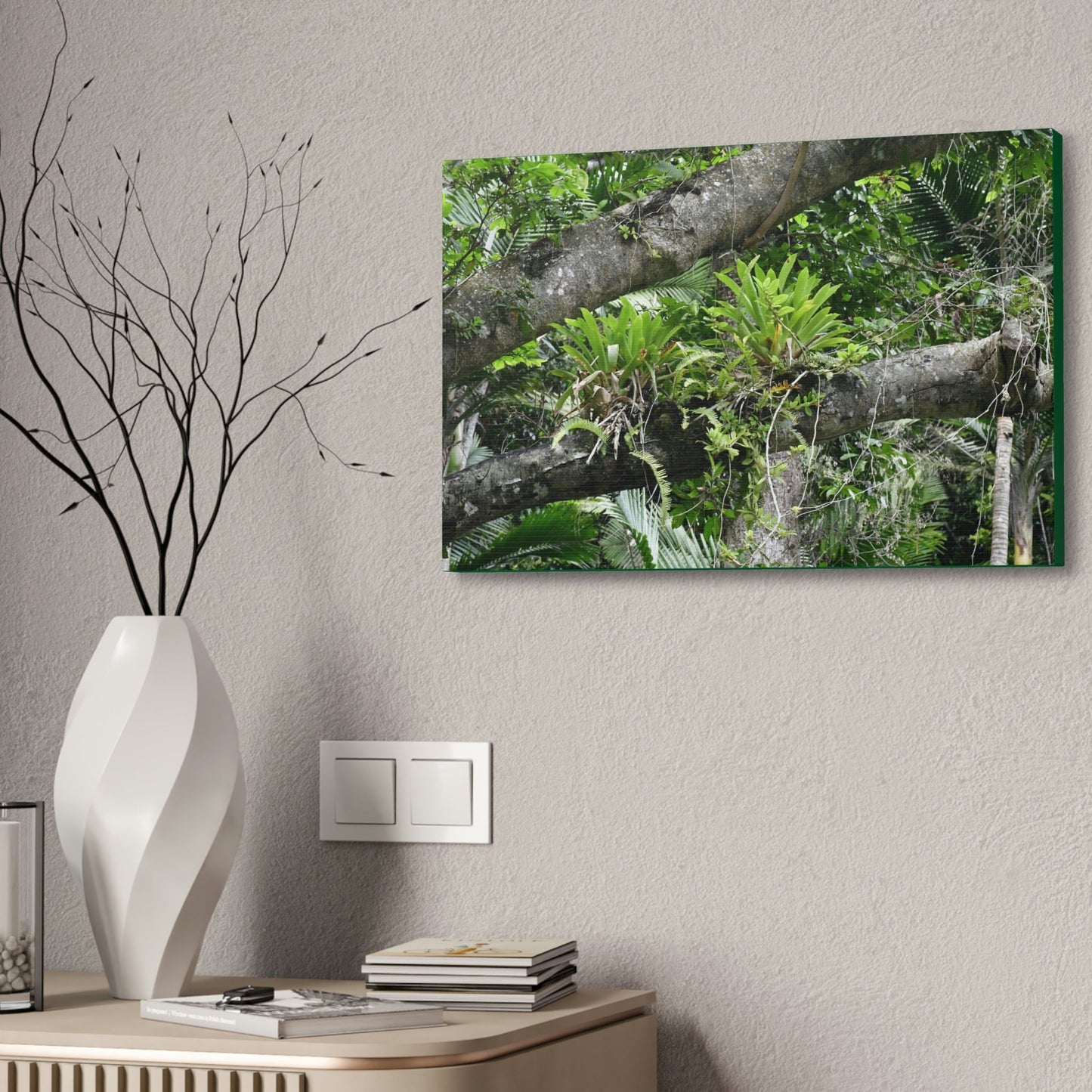 Canvas Stretched - Forest@Home - El Yunque - Recovering from Hurricane Maria - Tradewinds trail Bromeliads in fallen tree trunk - Green Forest Home