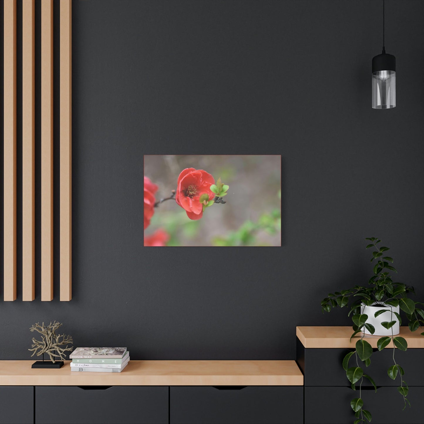 Classic Canvas - Flowering quince ( Chaenomeles speciosa ) flowers. Japan. - Multiple sizes - red sides - great quality - Green Forest Home