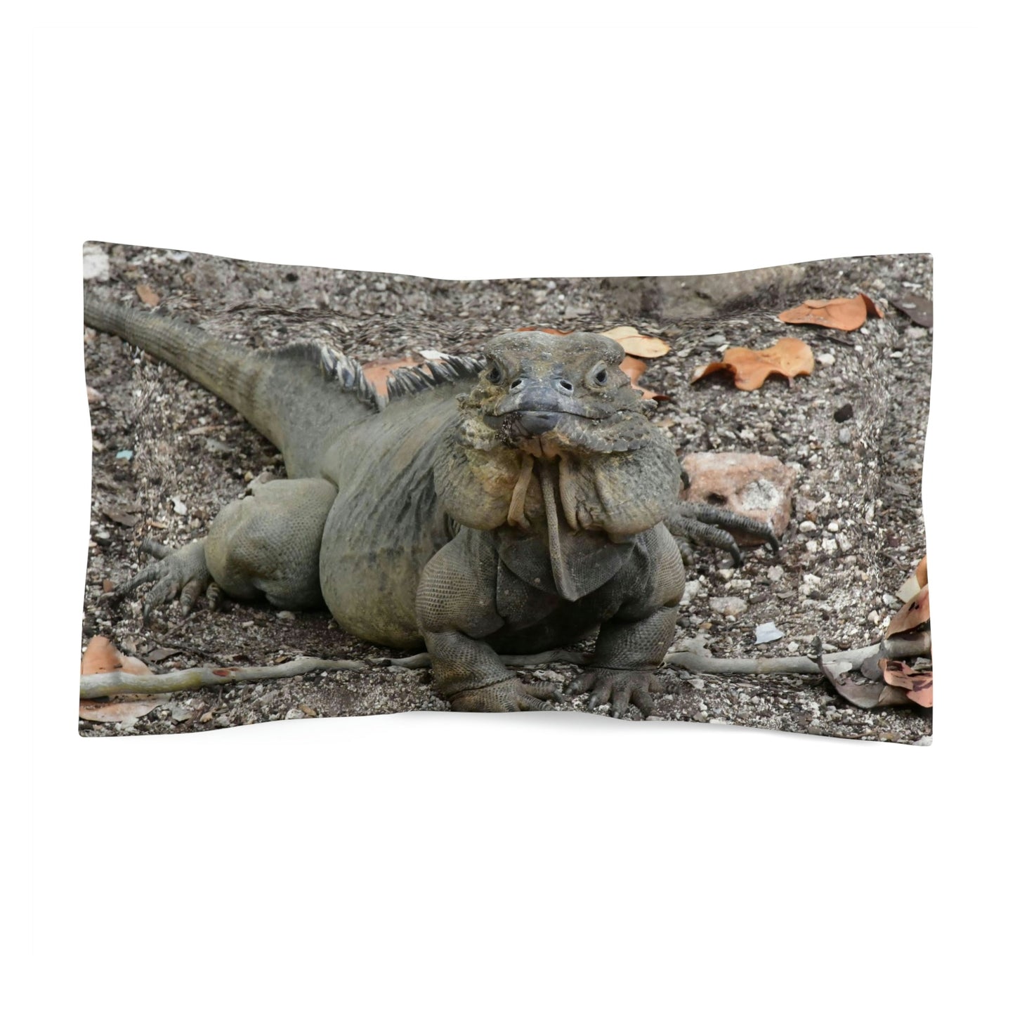 Microfiber Pillow Sham - Unique REMOTE Mona Island - Galapagos of the Caribbean – Puerto Rico - Green Forest Home