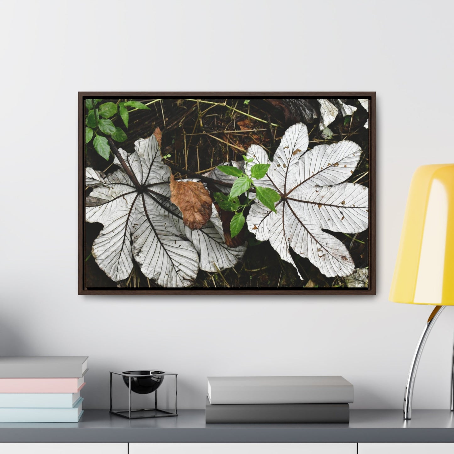Rainforest Trails & Views - Gallery Canvas Wraps, Horizontal Frame - El Yunque National Forest - Puerto Rico - A decaying pair of Yagrumo leaves - which creates many patterns - Green Forest Home