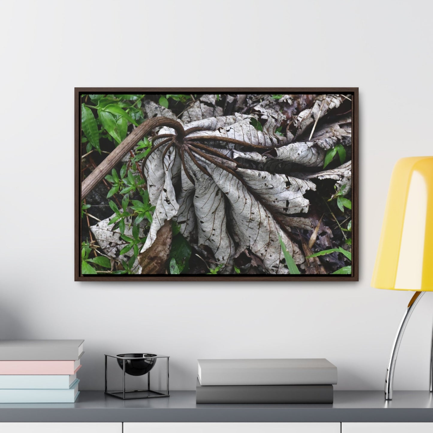 Rainforest Trails & Views - Gallery Canvas Wraps, Horizontal Frame - El Yunque National Forest - Puerto Rico - A decaying Yagrumo leaf - which creates many patterns - Green Forest Home
