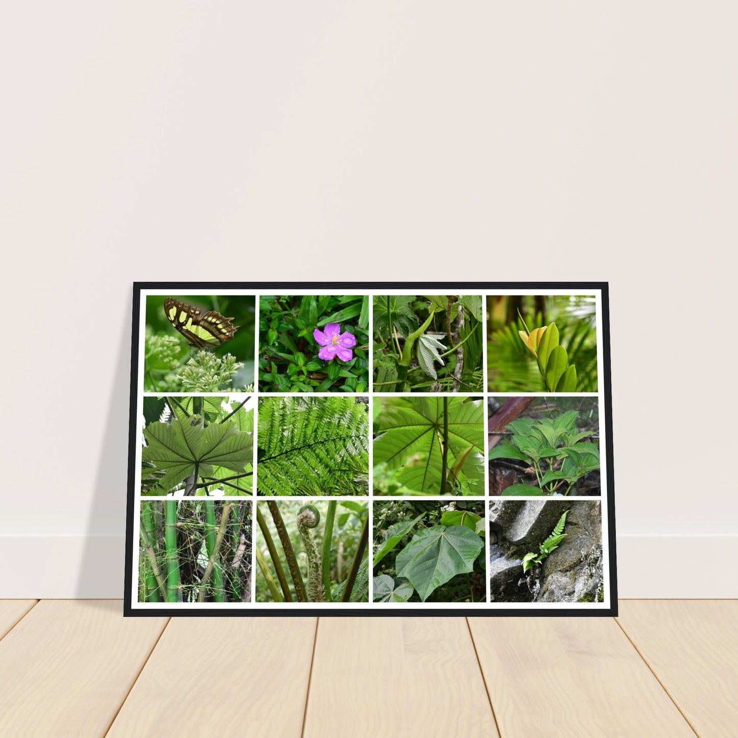 Rainforest Trails & Views - Horizontal Frame - El Yunque National Forest - Puerto Rico -Premium Matte Paper Wooden Framed Poster - 12 high-resolution Nikon Prints - Fauna of the forest - leaves etc - Green Forest Home