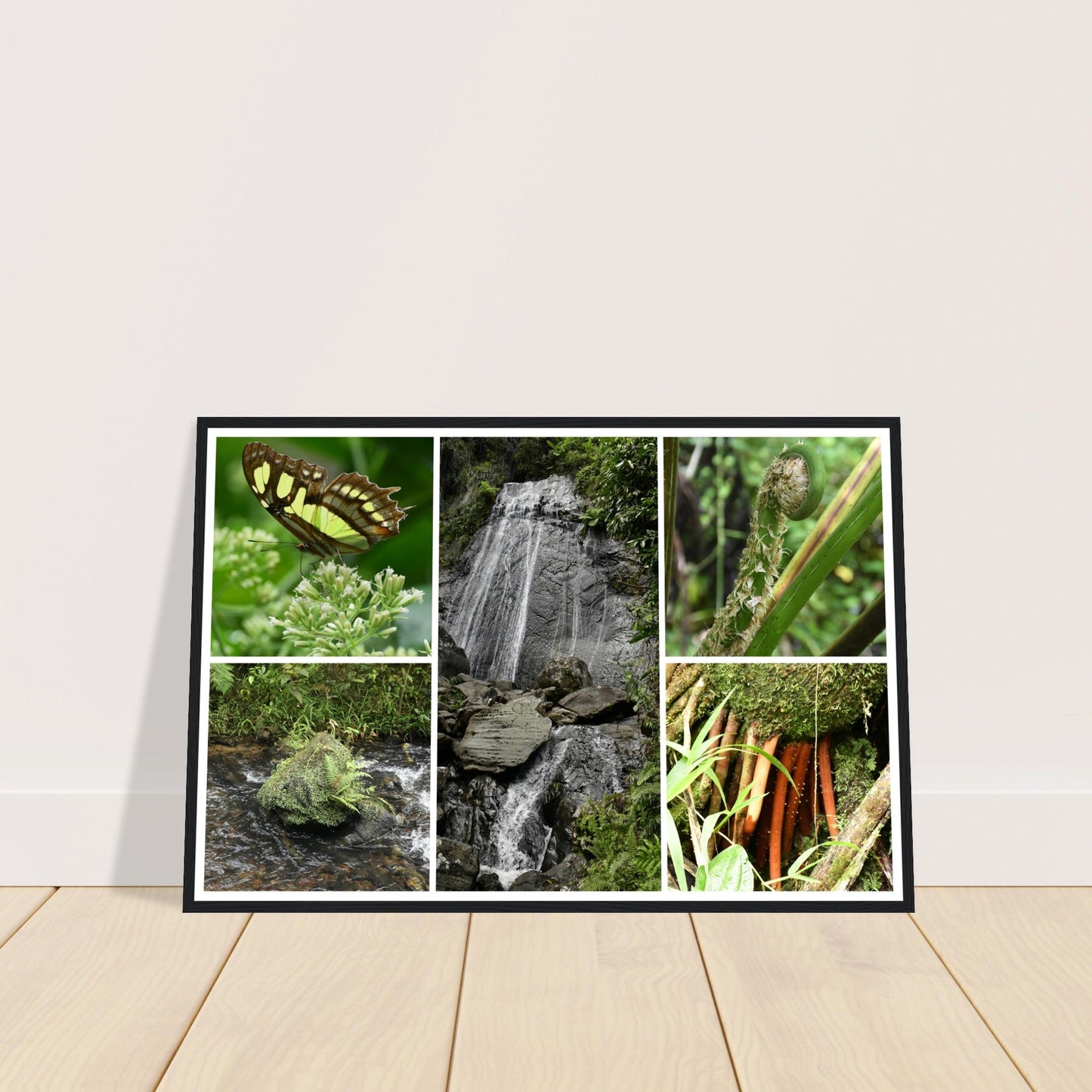 Rainforest Trails & Views - Horizontal Frame - El Yunque National Forest - Puerto Rico -Premium Matte Paper Wooden Framed Poster - 5 high-resolution Nikon Prints of El Yunque National Forest - La Coca falls, and other things of the forest - Green Forest Home