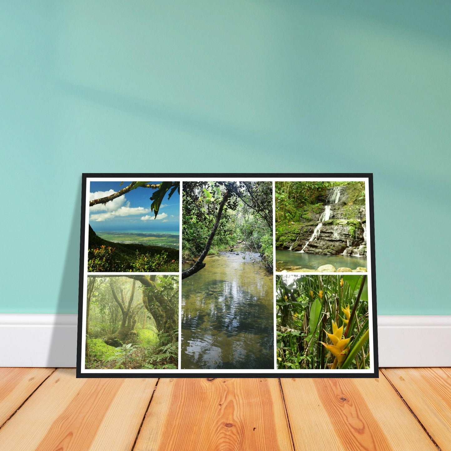 Rainforest Trails & Views - Horizontal Frame - El Yunque National Forest - Puerto Rico -Premium Matte Paper Wooden Framed Poster - 5 high-resolution Nikon Prints of El Yunque National Forest - Green Forest Home