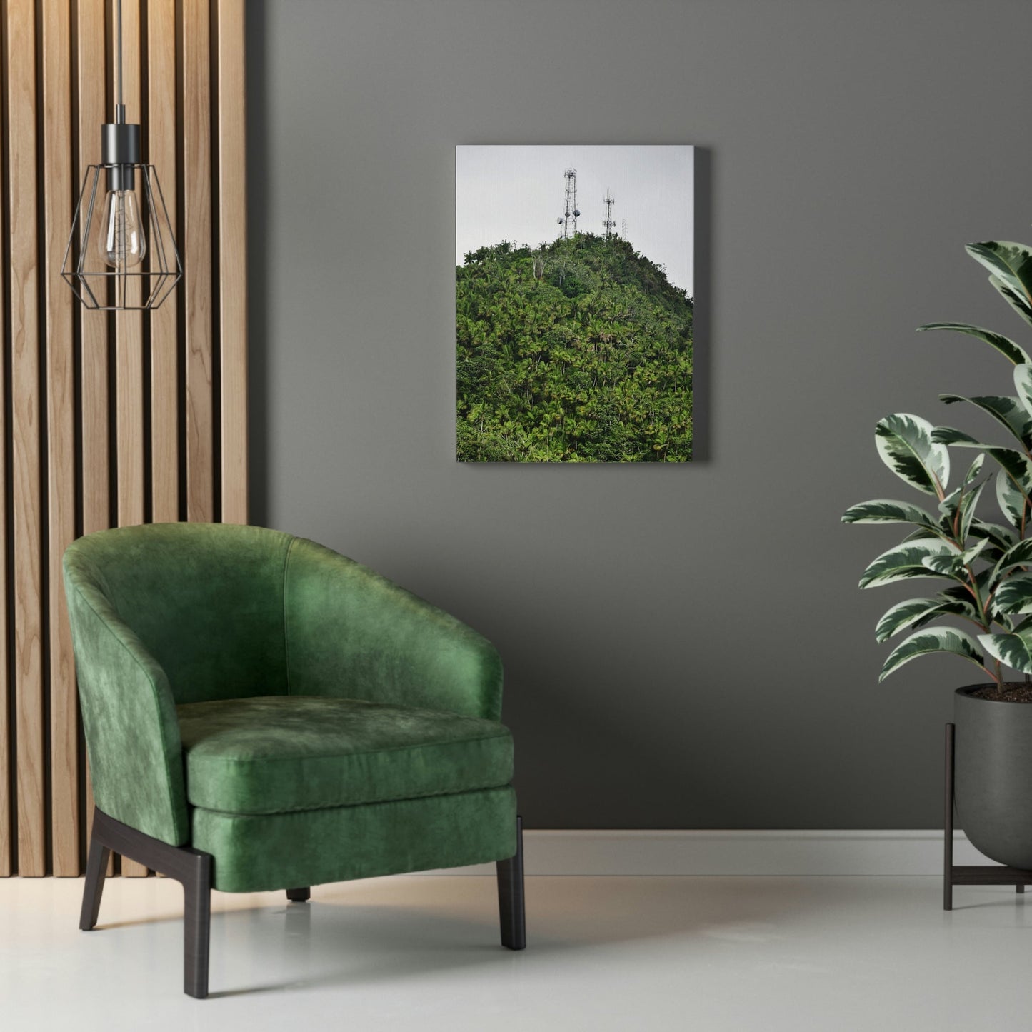 UK Print - Stretched Canvas - The ancient forest preserved in Toro Negro rainforest Puerto Rico - highest peak - Cerro Puntas at 4,300 feet altitude - Green Forest Home