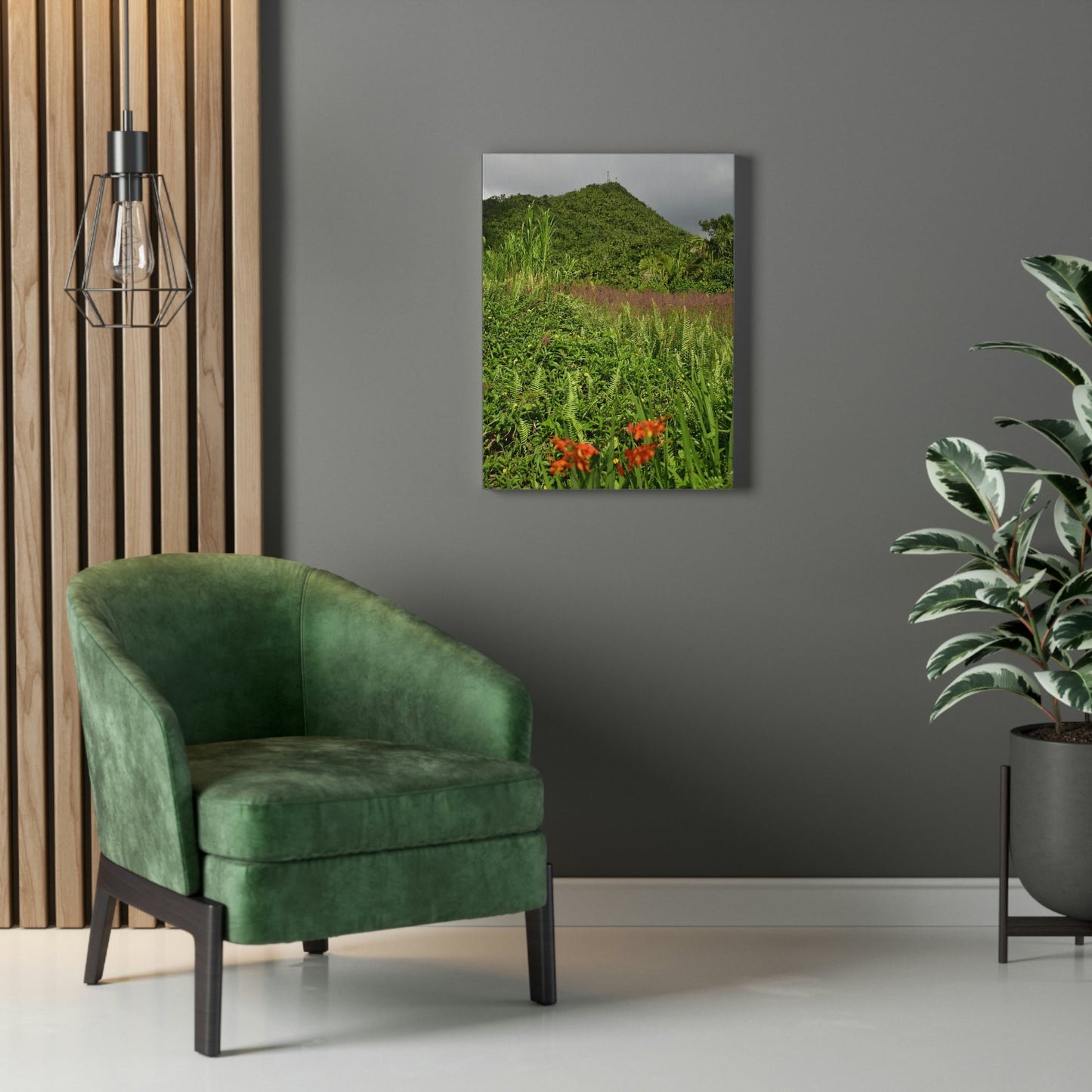 UK Print - Stretched Canvas - The ancient forest preserved in Toro Negro rainforest Puerto Rico - highest peak - Cerro Puntas at 4,300 feet altitude - Green Forest Home