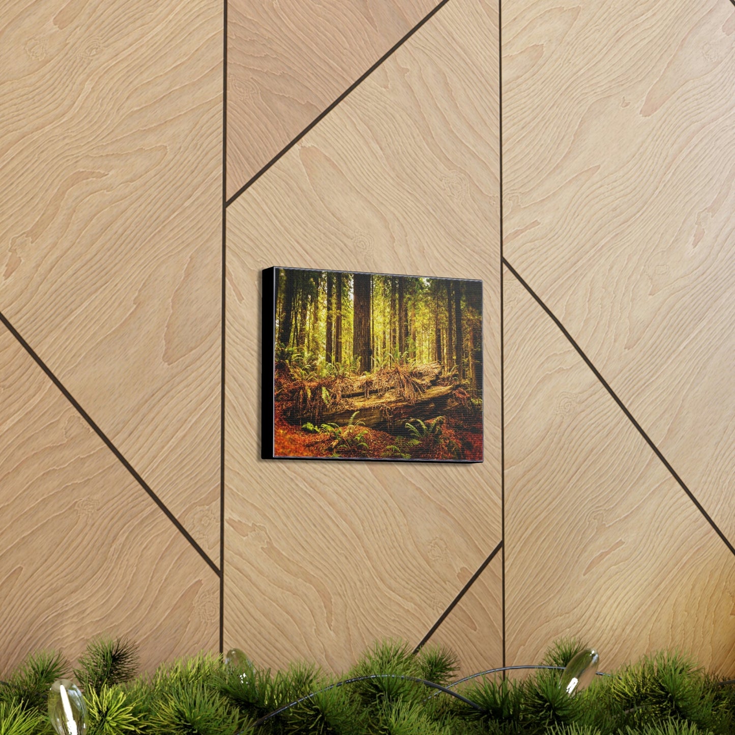 US NATIONAL PARKS - SMALL Canvas Gallery Wraps - Giant sequoia trees in the Redwood Forest National and State Park, California - the world's oldest trees! - Green Forest Home