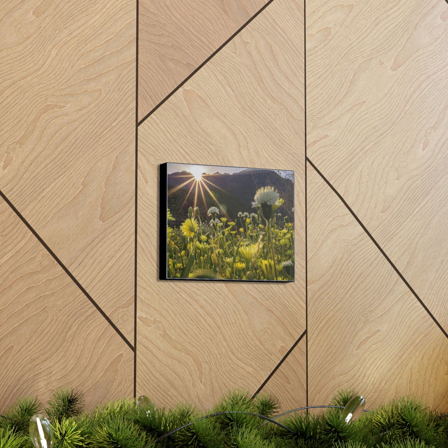 US STATE PARKS - SMALL Canvas Gallery Wraps - Sunset landscape in Anza Borrego Desert State Park during a spring super bloom, California - Green Forest Home