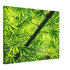002898be-771f-434d-8ecc-42326f17c408