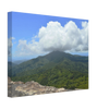 023eb129-341d-44aa-8666-2b09ef7a8184