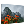 0b7ba5a7-0d9d-4612-ac37-805383611e7d