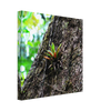 0de1d0b6-9839-4cc5-bdca-6028d7f9eb95