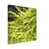 0ee12b8a-5147-4c12-b379-2f333a58404b