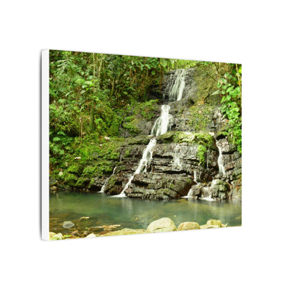 Waterfall Forest Canvas Print — Tranquil Nature Wall Art (Matte Stretched) - Hidden Waterfal - La Coca Trail - El Yunque Rainforest - Puerto Rico