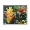 Tropical Vista Matte Canvas Framed Wall Art - Forest explorations - Deep in El Yunque rainforest PR - Mosaic#1 of the Flowers of El Yunque rainforest