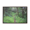 Rainforest Trails & Views - Gallery Canvas Wraps, Horizontal Frame - El Yunque National Forest - Tradewinds trail - cloud forest - Green Forest Home