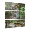 Deep Forest Explorations - Pristine Rio Sabana  2-Rivers Magical Pond - El Yunque RainForest  - Nikon D850 - Tropical Rivers Triptych Acrylic Print – Panoramic Jungle Wall Aert