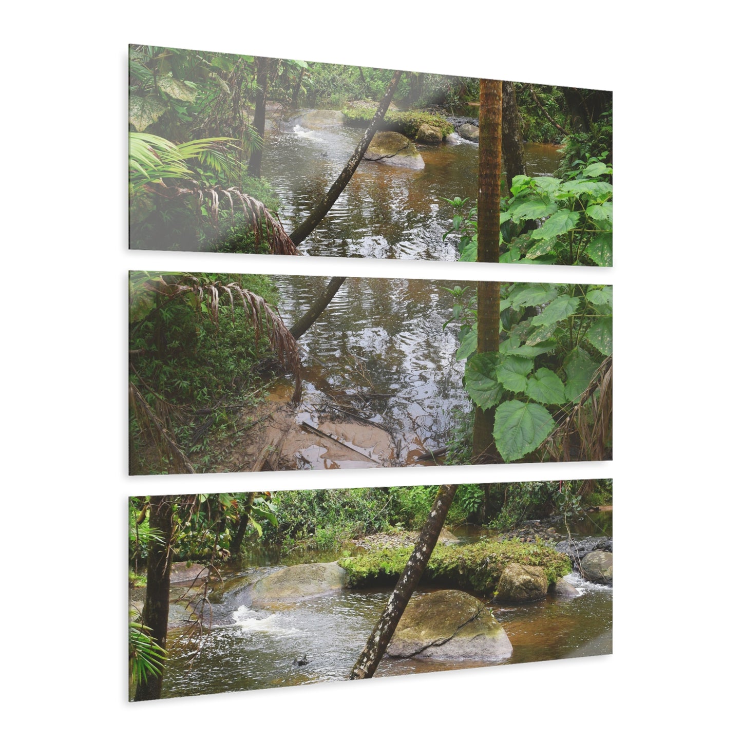 Deep Forest Explorations - Pristine Rio Sabana  2-Rivers Magical Pond - El Yunque RainForest  - Nikon D850 - Tropical Rivers Triptych Acrylic Print – Panoramic Jungle Wall Aert