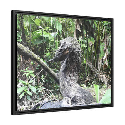 Tropical Vista Matte Canvas Framed Wall Art - Forest explorations - Deep in Sabana River Unusual Tree formations ??? -  El Yunque rainforest PR