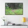 Rainforest Trails & Views - Gallery Canvas Wraps, Horizontal Frame - El Yunque National Forest - Puerto Rico - Path in camping zone near peaks - Green Forest Home