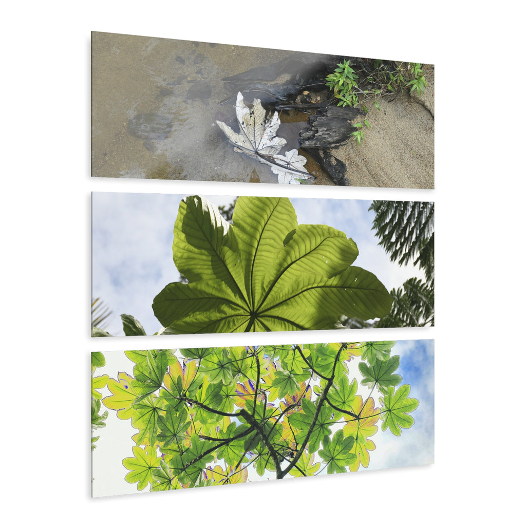 Yagrumo Tree with modified colors and other Decomposing Leaves Art- El Yunque - Nikon D850 - Triptych Acrylic Print – Forest Wall Art