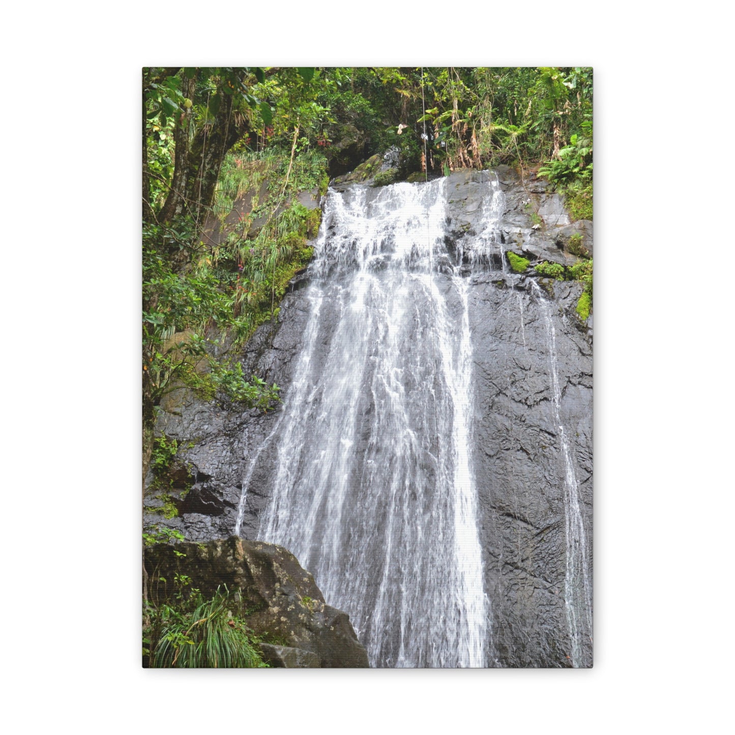 Waterfall Canvas Print — El Yunque La Coca Falls - Nikon D850 Tropical Nature Wall Art, Stretched 0.75"