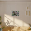 Matte Canvas Wall Art – Green Tree Lizard Photography (Stretched) - El Yunque Rainforest - Puerto Rico - Deep forest explorations