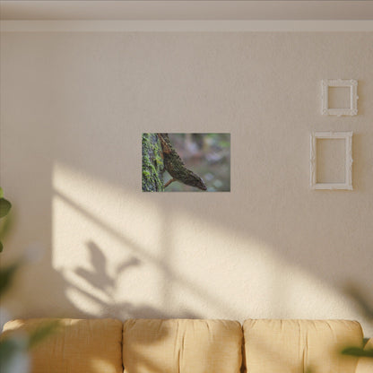 Matte Canvas Wall Art – Green Tree Lizard Photography (Stretched) - El Yunque Rainforest - Puerto Rico - Deep forest explorations