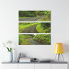 Roads of  El Yunque RainForest - Main PR 191 and road to El Yunque - Nikon D850 - Tropical Rivers Triptych Acrylic Print – Panoramic Jungle Wall Aert