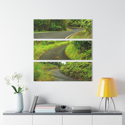 Roads of  El Yunque RainForest - Main PR 191 and road to El Yunque - Nikon D850 - Tropical Rivers Triptych Acrylic Print – Panoramic Jungle Wall Aert