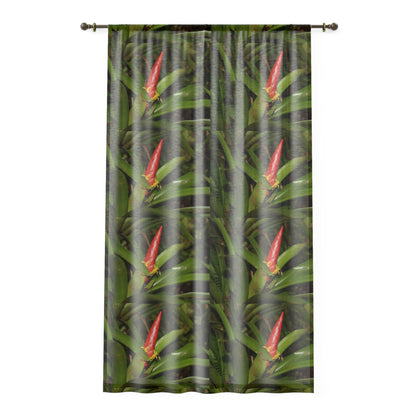 Tropical Jungle - Collage of Bromeliad in Flower - Window Curtain - Lush Rainforest Print Sheer Drapery - View in El Yunque rainforest - Puerto  Rico - Nikon