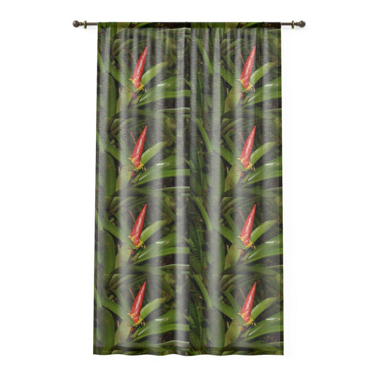 Tropical Jungle - Collage of Bromeliad in Flower - Window Curtain - Lush Rainforest Print Sheer Drapery - View in El Yunque rainforest - Puerto  Rico - Nikon