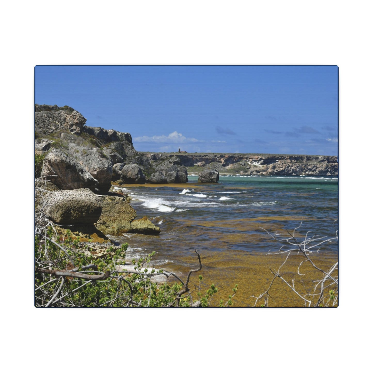 Coastal Cliff Seascape Canvas Print - Mona Island - 40 miles from Puerto Rico - Pristine & isolated