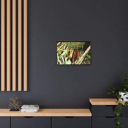 Framed Matte Canvas Wall Art — Tropical Rainforest Roots Photography - The strong orange roots of the Sierra Palm - that can survive hurricanes