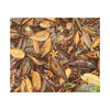 Leaf Floor Canvas Print — Matte Stretched Wall Art - Tradewinds trail - below canopy of local peak - leaf variety & geometry & stars ...