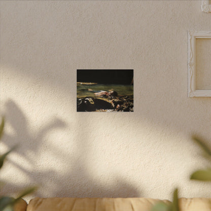Matte Stretched Canvas Print – Serene River Nymph Photo Wall Art - Explorer Jose rests after a week of explorations