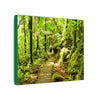 Forest Trail Matte Canvas Print – Lush Green Nature Wall Art - Hiker enjoys the BEAUTY - Mt Britton Trail - El Yunque Rainforest - Puerto Rico