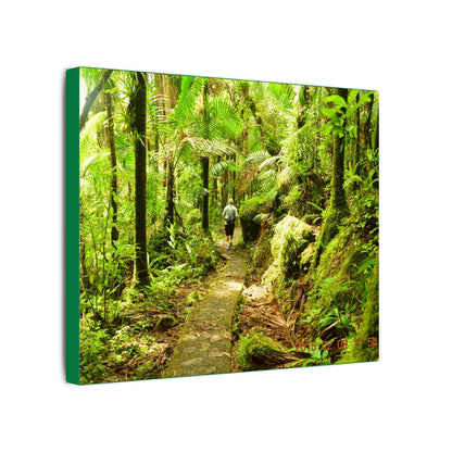 Forest Trail Matte Canvas Print – Lush Green Nature Wall Art - Hiker enjoys the BEAUTY - Mt Britton Trail - El Yunque Rainforest - Puerto Rico